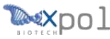 Xpol