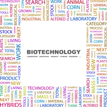 Área Clientes Otros Servicios